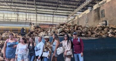 Estudiantes semiescolarizados de Negocios Internacionales fortalecen su formación con visita técnica a Casa Orendain Estudiantes semiescolarizados de Negocios Internacionales fortalecen su formación con visita técnica a Casa Orendain